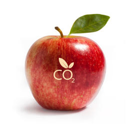 wizualizacja jabłka