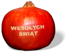 logo na owocach granatu